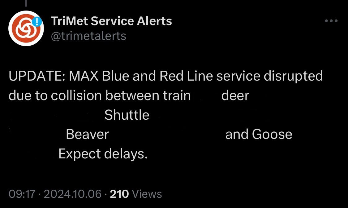 willow! 🍃 tweet media