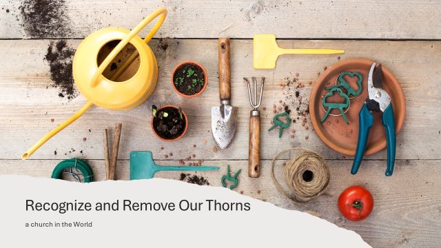 Follow Jesus of Nazareth tweet media