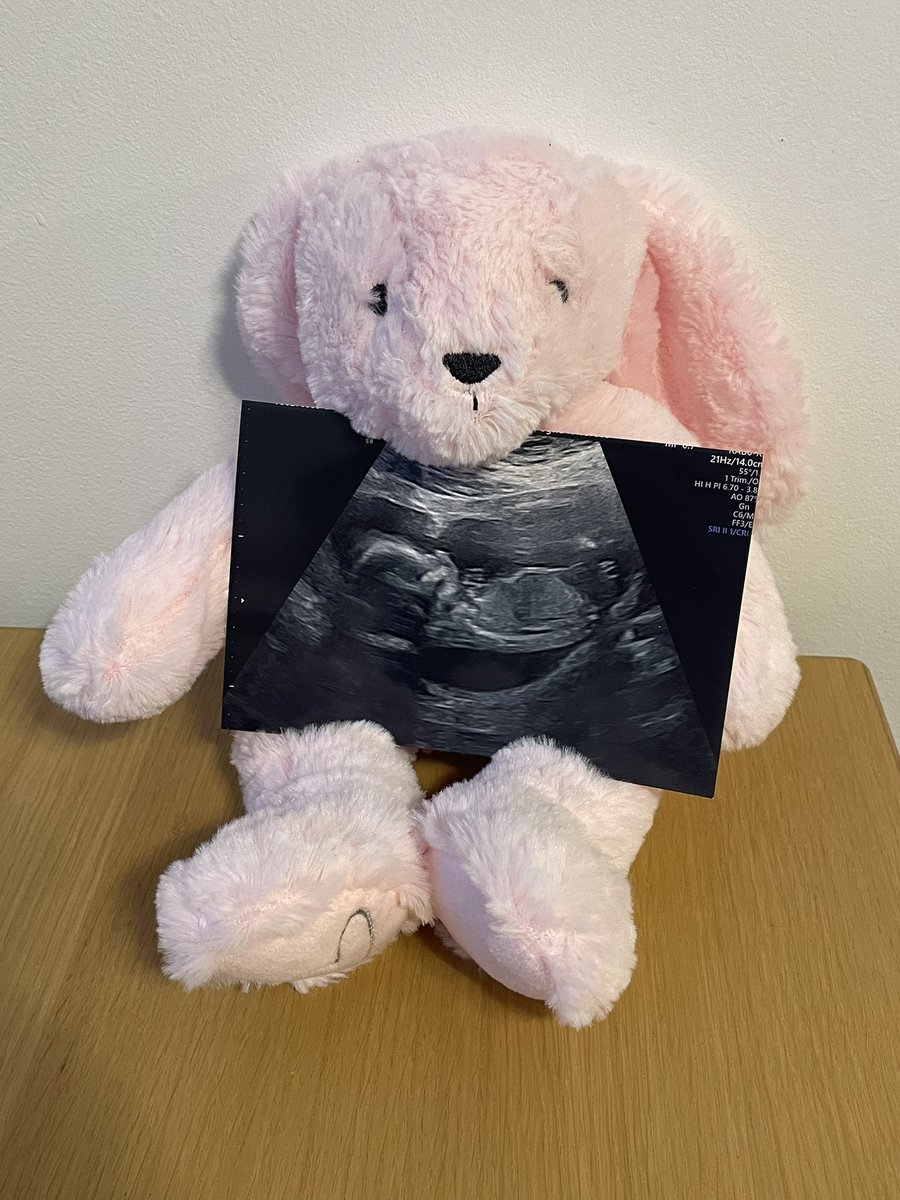 Adding another little girl to our family 🩷