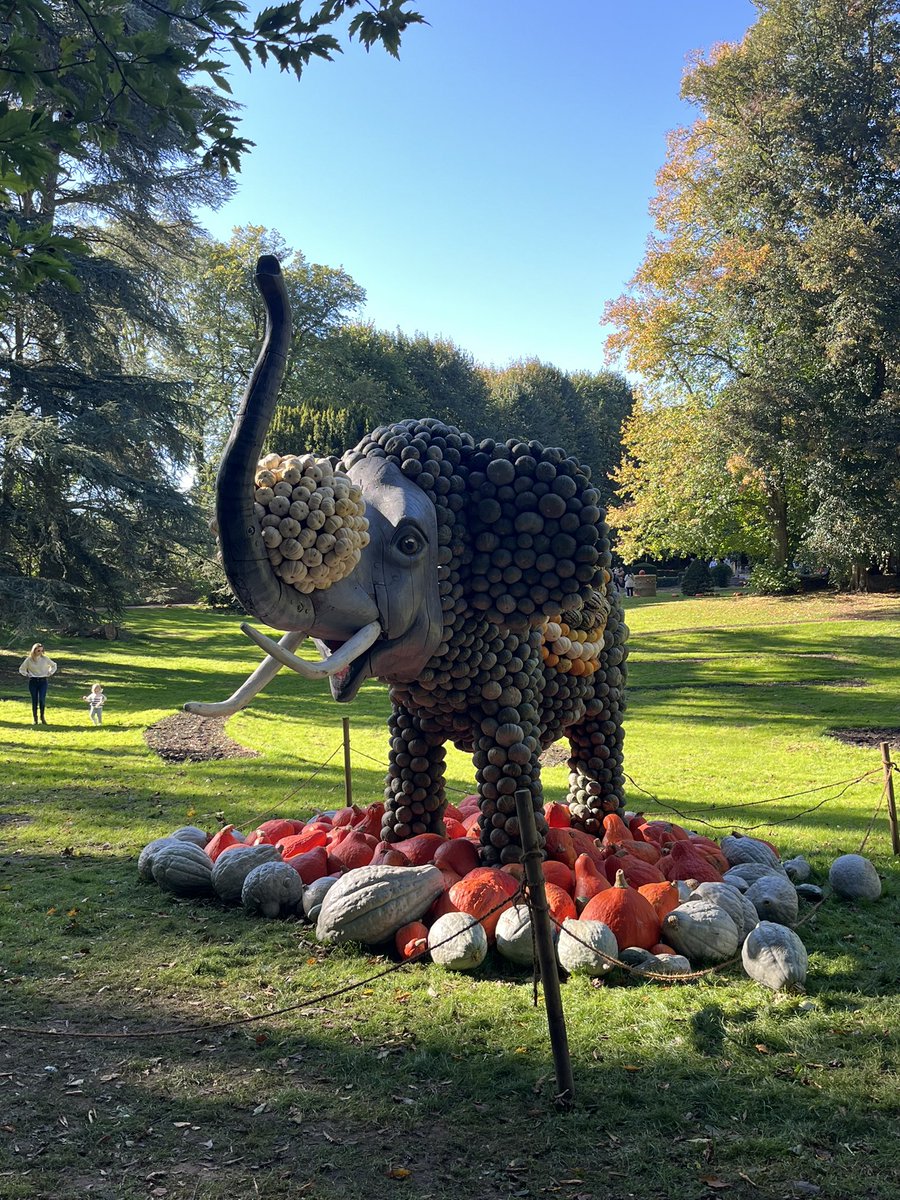 in_ryoko's tweet photo. ベルギーではカボチャの季節。カボチャをテーマにしたこんなイベントも
In Belgium it's the season for pumpkins. So look at this pumpkin themed event https://t.co/tkjqIA9nHx