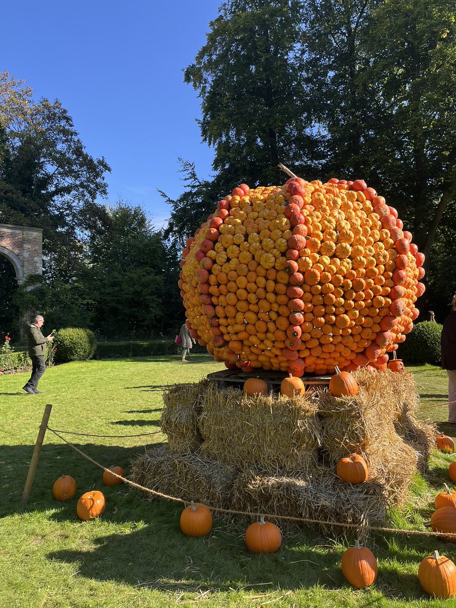in_ryoko's tweet photo. ベルギーではカボチャの季節。カボチャをテーマにしたこんなイベントも
In Belgium it's the season for pumpkins. So look at this pumpkin themed event https://t.co/tkjqIA9nHx