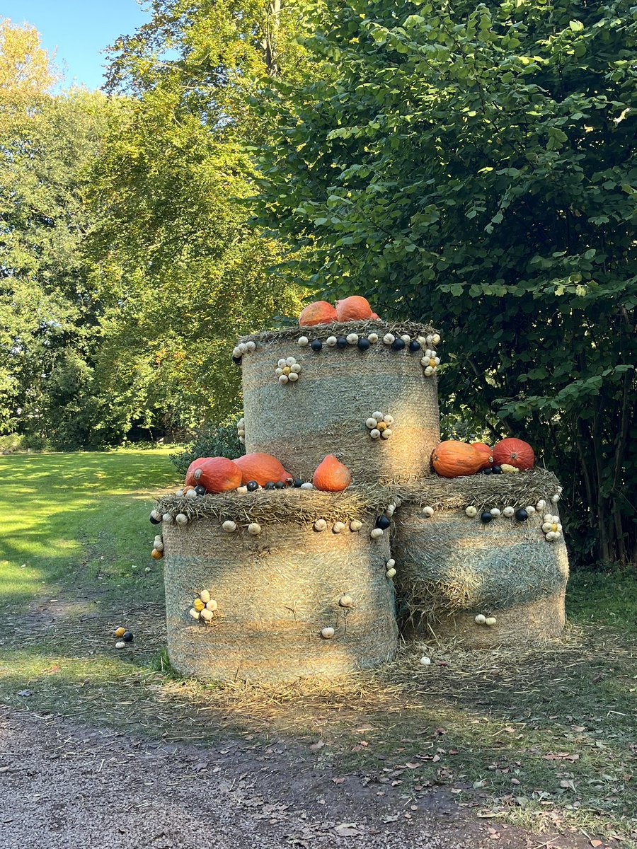 in_ryoko's tweet photo. ベルギーではカボチャの季節。カボチャをテーマにしたこんなイベントも
In Belgium it's the season for pumpkins. So look at this pumpkin themed event https://t.co/tkjqIA9nHx