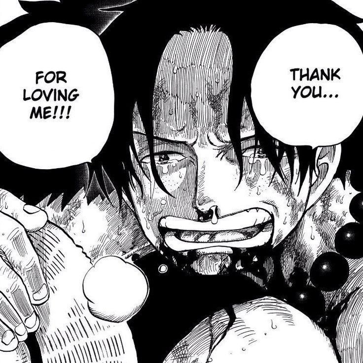 One Piece Daily tweet media