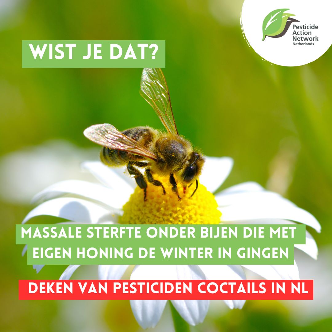 Een van de meest schokkende artikelen van dit jaar: massale sterfte onder bijen die met eigen honing de winter doorkwamen. De honing bleek vol giftige pesticiden.  55% van de wilde bijen is ondertussen uitgestorven. Hoe gaan de bijen deze  winter in? eenvandaag.avrotros.nl/item/grote-zor…