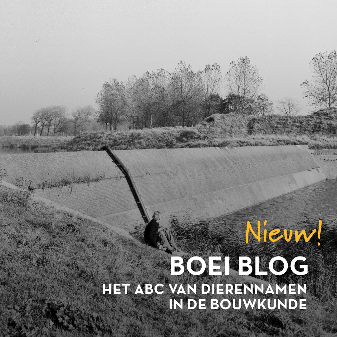 🗣️ "Bij het beschrijven van de kelder van een gebouw kon ik maar niet op het woord koekoek komen...

👀 Lees de blog van bouwhistoricus Kim Heuvelmans via boei.nl/mensen-vertell…

#bouwkunde #bouwhistorie #blog #boei #dieren #termen #monumenten #architectuur #erfgoed