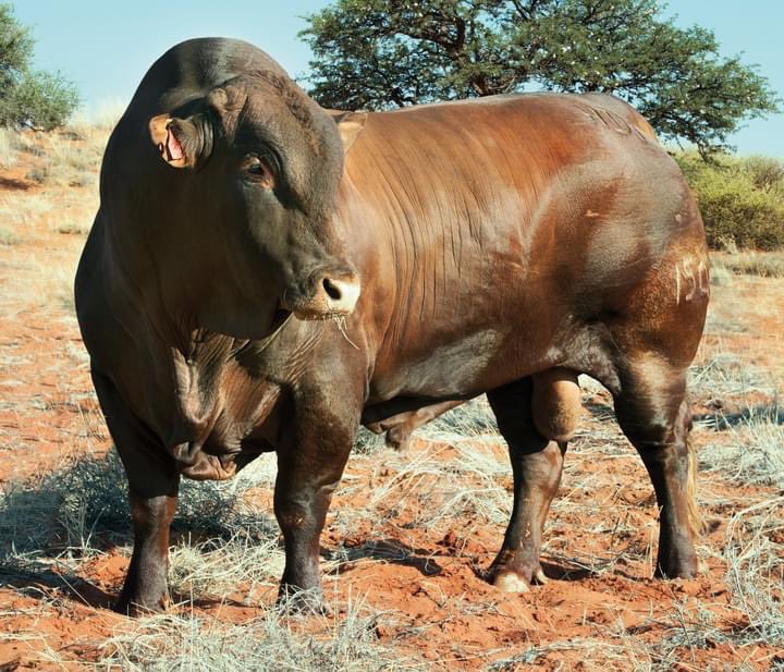 Live below your means