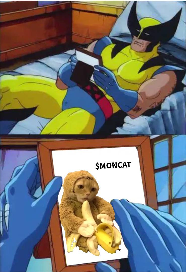 EVERYONE IS CRAVING FOR THE KING

HALF MONKEY HALF CAT 100% BANANA LOVER

$MONCAT