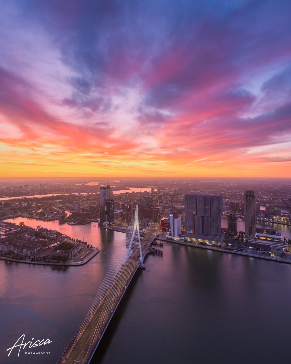 Arisca van ‘t Hof tweet media