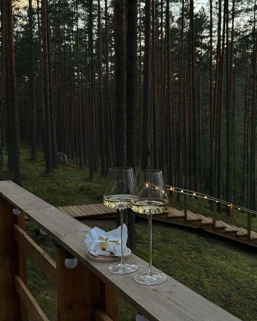 The Mozinity (@mozinity) on Twitter photo 