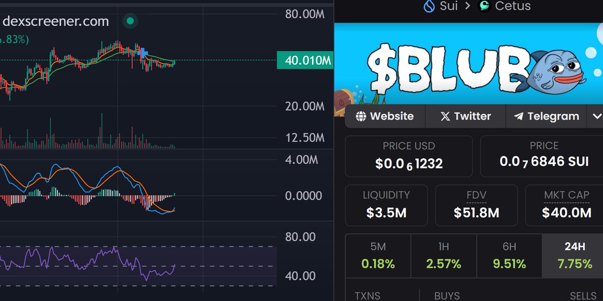 RoaringAlpaca69's tweet image. This is more than likely the bottom for $BLUB 

The chart is showing over sold as the sellers dry up. 

If the market stays strong collectively then we might never see Blub below 40M MC again!

Road to 100M MC! LFG 

#SUI $SUI $BONK $PEPE