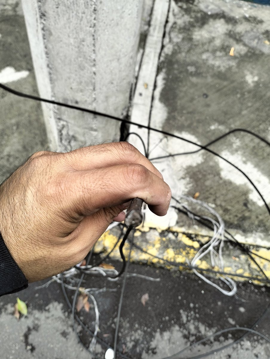 Mauricio Montaño tweet media