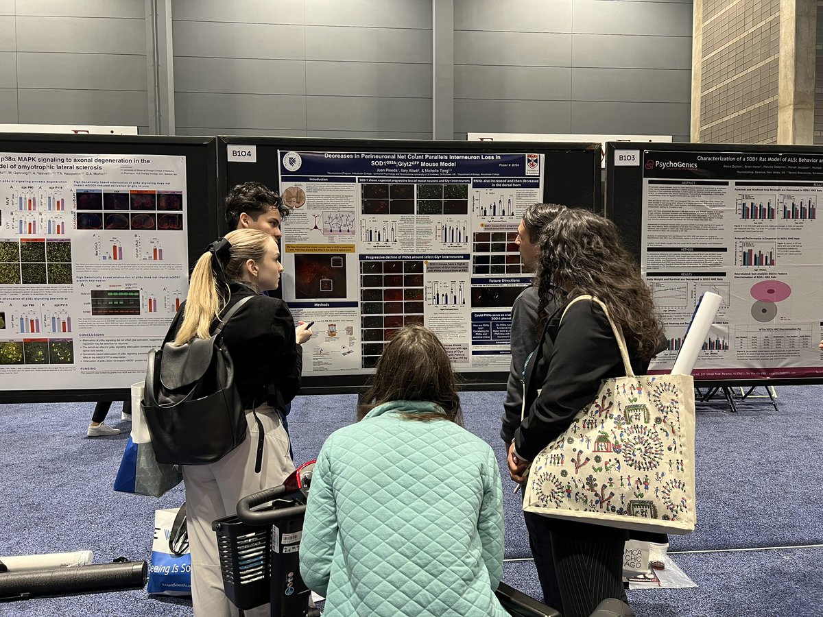 The people want to know about #PerineuronalNets in ALS! Come find <a href="/JuanPin48314485/">Juan Pineda</a> at Poster B104! Now until 17:00! #sfn2024