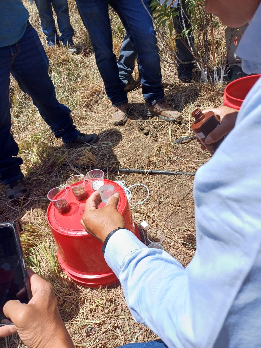 En el InnovaHub Occidente de Guatemala, se desarrolla en el Curso de Técnico Certificado en Agricultura Sustentable Adaptada al Clima, con la participación de 19 técnicos de diferentes organizaciones de la región. #AgriLACResiliente #CIMMYT #AlianzaBioversityCIAT