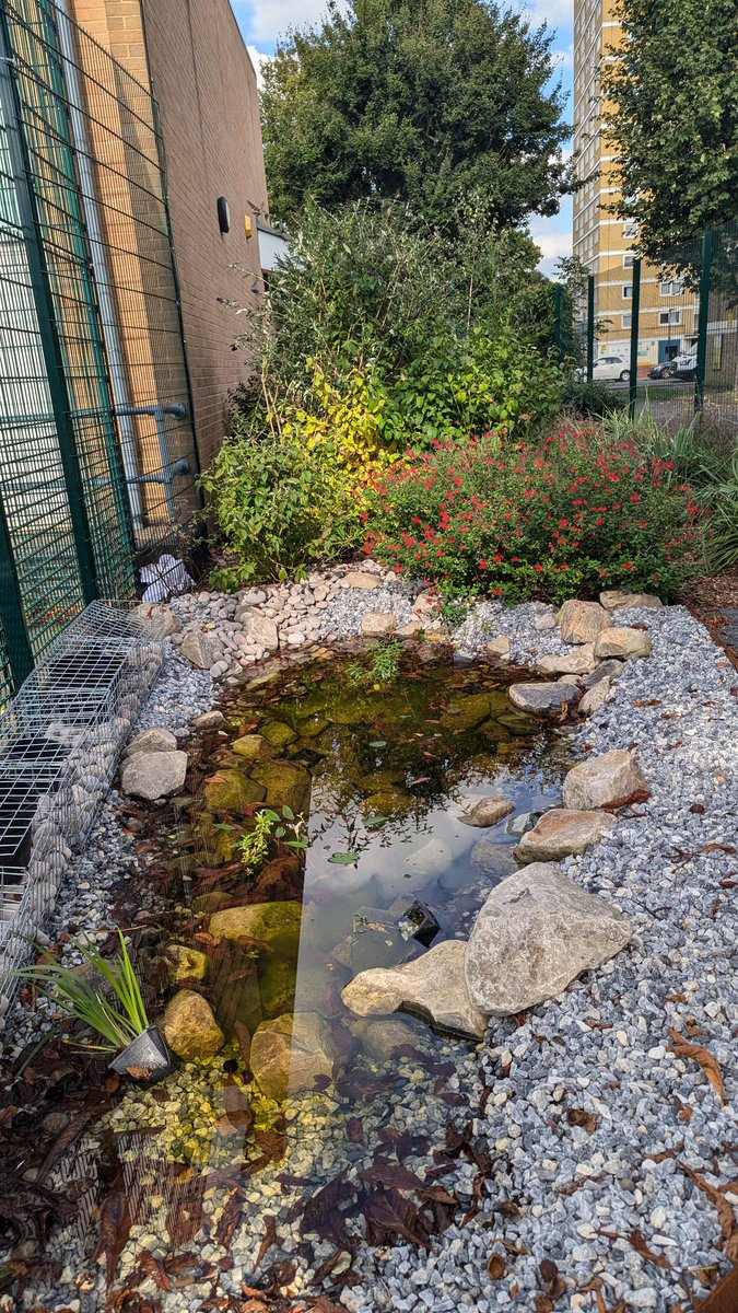 National Park City Mark tweet media