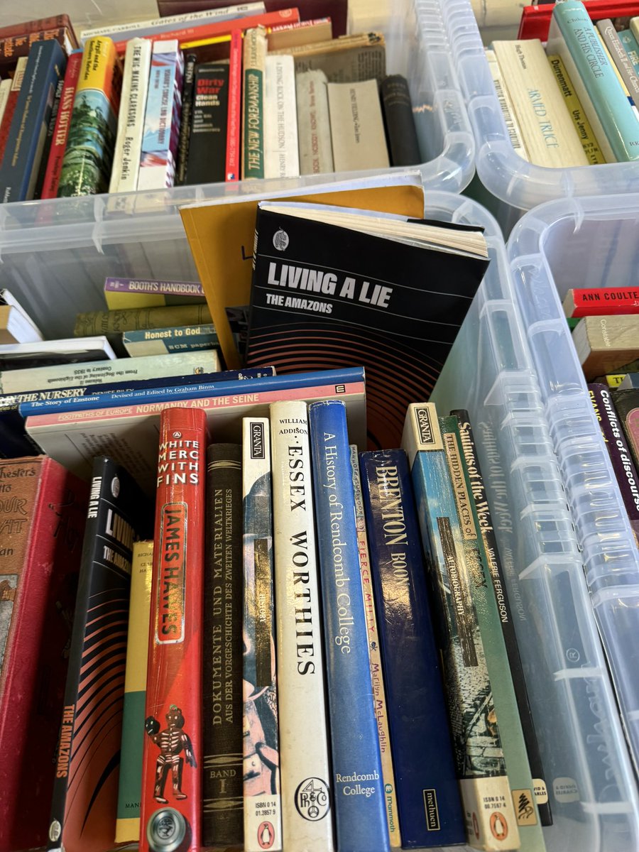 The Amazons tweet media