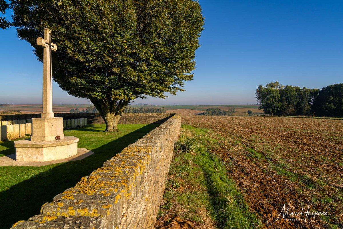 Marc Haegeman tweet media