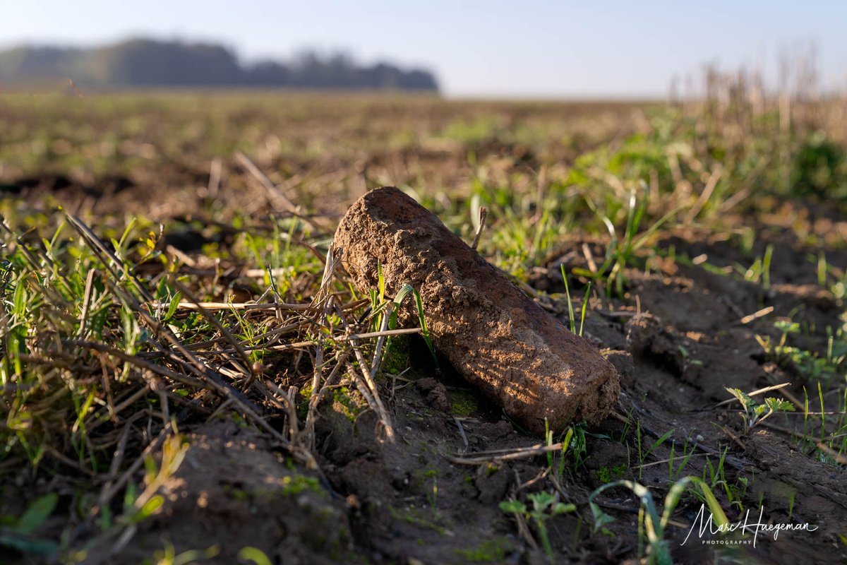 Marc Haegeman tweet media