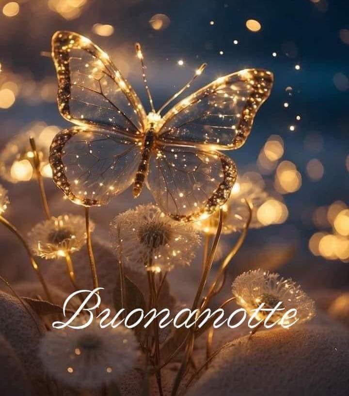 RITABIANCHi56 tweet media