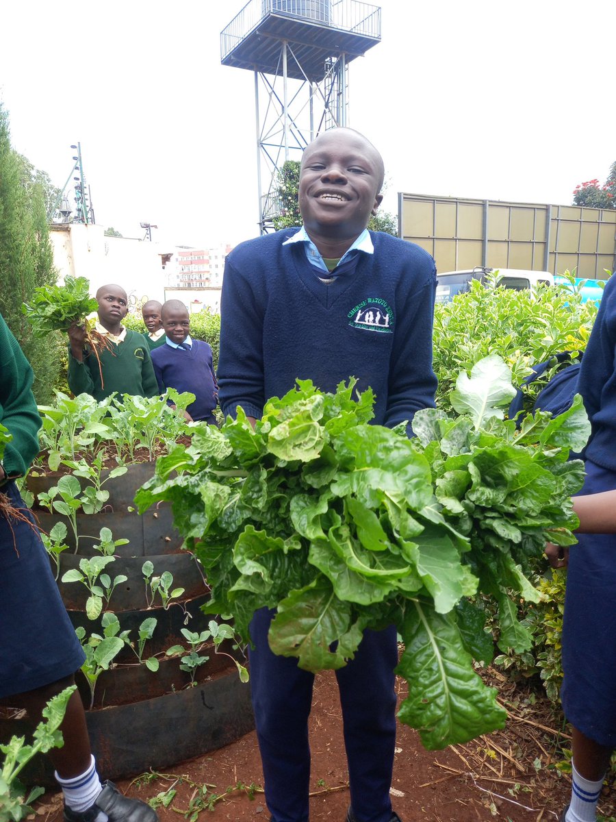 Thehummingbirdf's tweet photo. From farm to table. A bountiful harvest from our garden at Cherish Watoto Kenya.
#foodgarden #schoolgardens https://t.co/I7wsxuiQ3q
