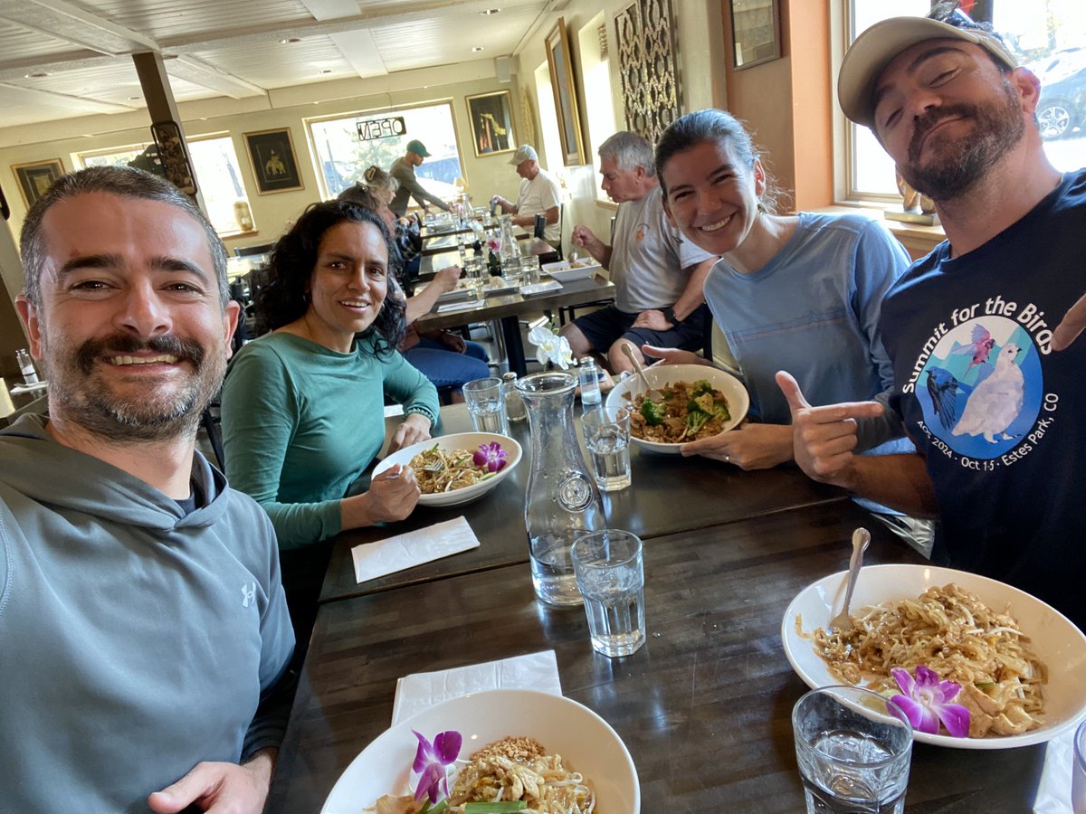 Great morning of birding in Rocky Mountain NP after #AOS24 with <a href="/birdmapper/">Natalia Ocampo-Peñuela, PhD</a> and <a href="/chavecito76/">Jaime A. Chaves</a>. White-tailed Ptarmigan and Brown-capped Rosy-Finch were highlights. Instead of Lifer Pie, we went for Lifer Thai!