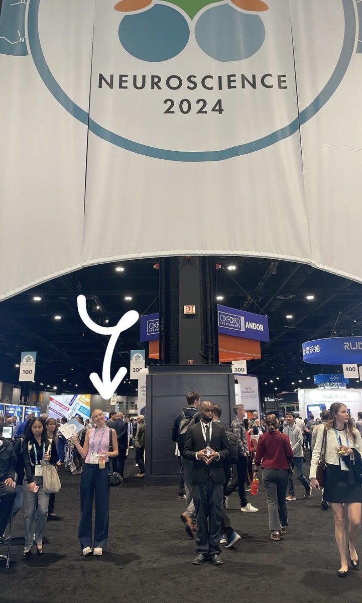 Thrilled to attend my first Society for Neuroscience conference! A huge thank you to the Wash U ENDURE program for the travel award that made this possible! Looking forward to learning and connecting! #SfN2024 #Neuroscience