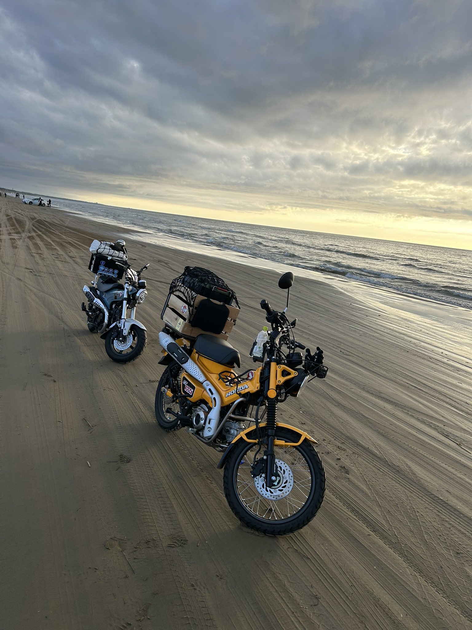 まあさん Amazon.co.jp: o2センサー サンバー ディアス TV1 TV2 スバル