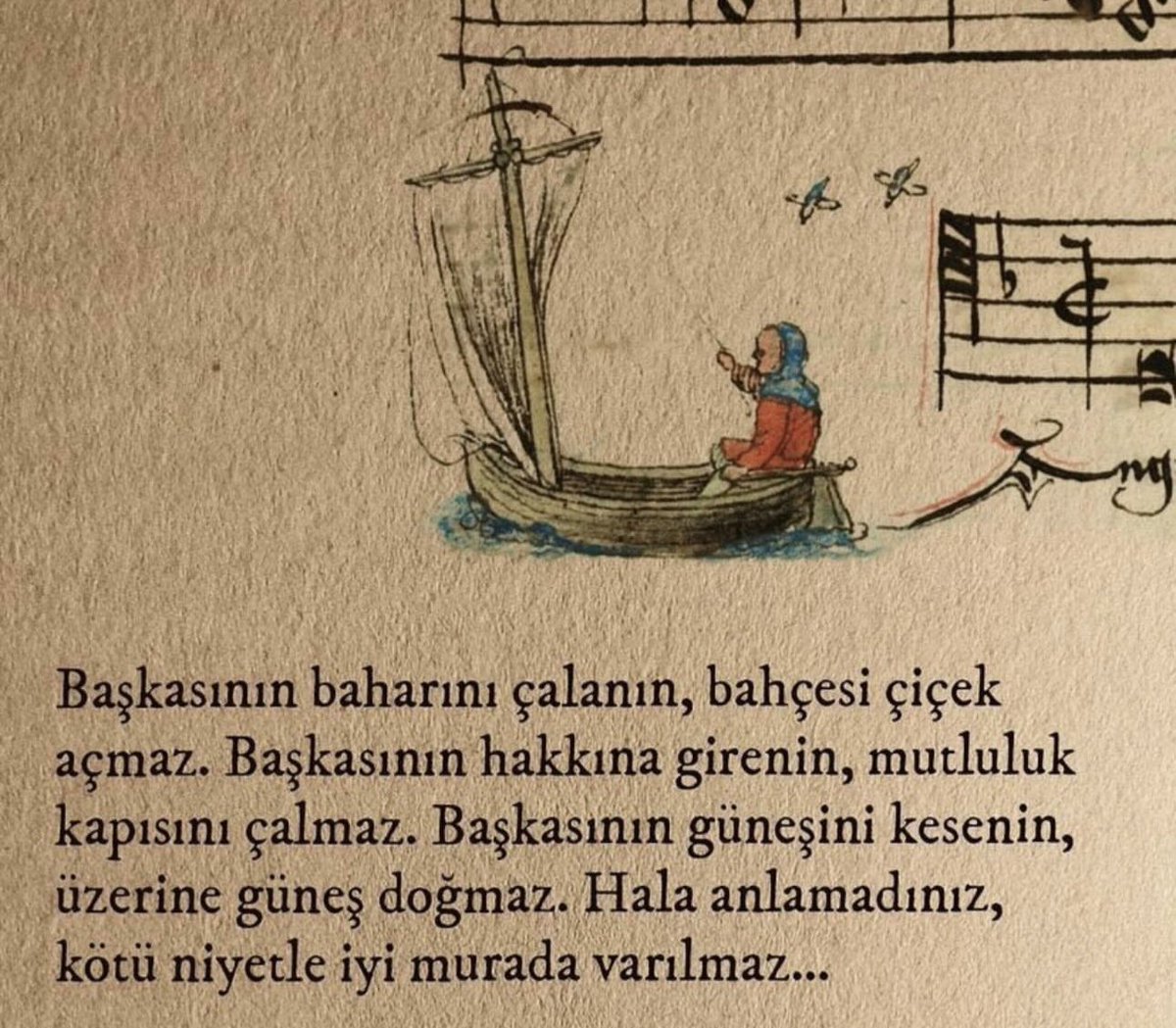 🕊️ (@aysnnsyldrm) on Twitter photo 