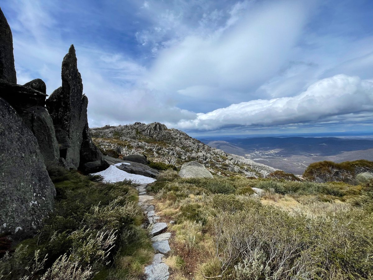 Ananya2yzai's tweet photo. The new(ish) 13km trail Charlotte Pass to Perisher is a stunner #hiking #SnowiesAlpineWalk https://t.co/UoPVfhpCj2
