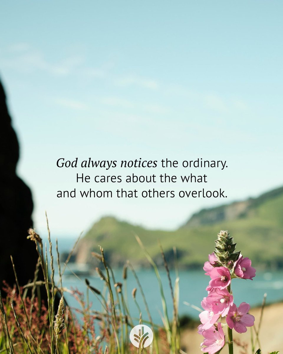 help2hand's tweet image. We can not get God&apos;s attention by putting on falsified actions!!! You will not get God to observe a phony or fraudulent person!!! God will not waste His time or intervene in your situation!!! #HelpUsGod!!!
💜💜💜🙏🏿🙏🏻🙏🏾