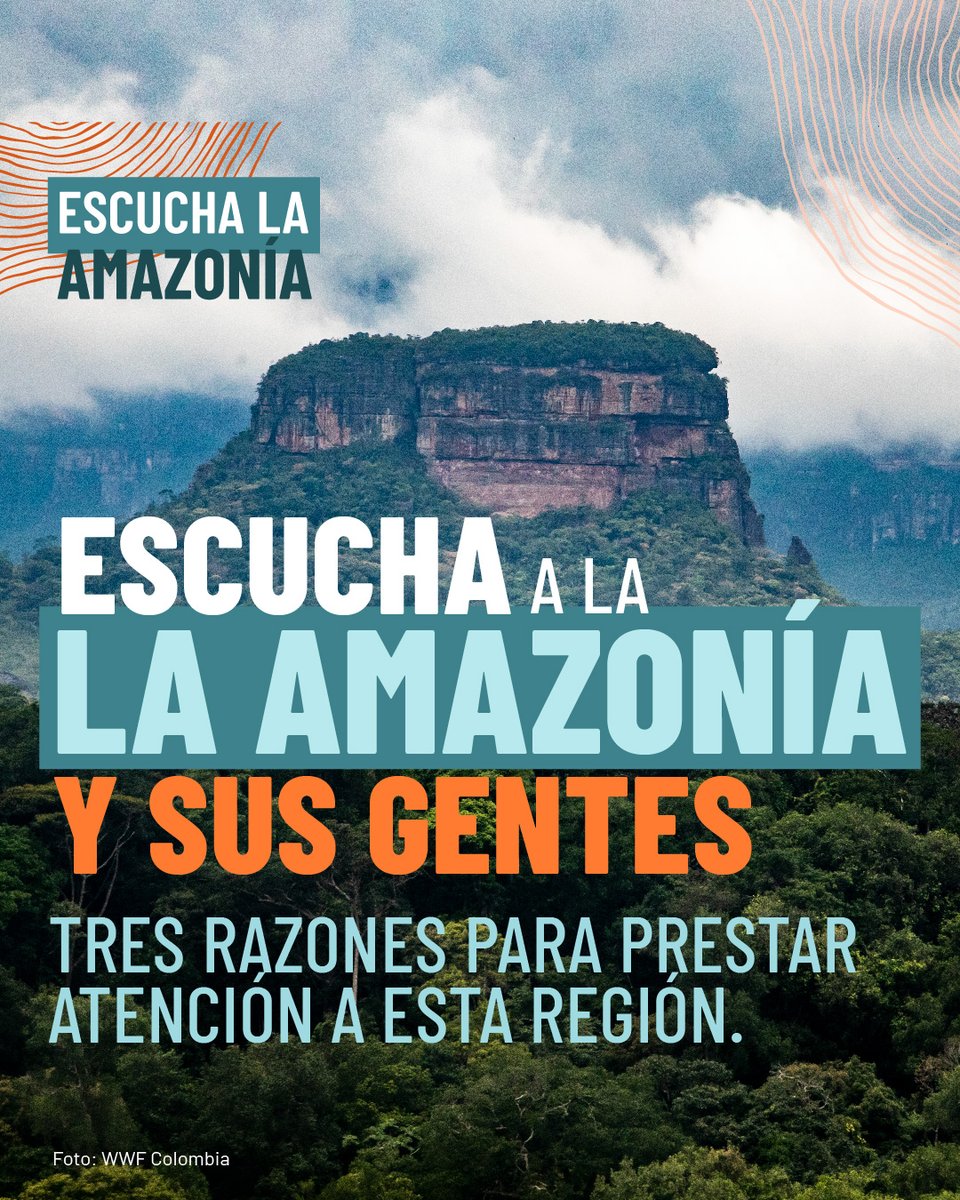 🌎| ¿Qué estamos haciendo para proteger la Amazonía? Algo grande está por venir y pronto lo descubrirás... #COP16 #AlianzaEscuchalaAmazonía

Por ahora, en este hilo te dejamos tres razones para proteger la Amazonía. 👇