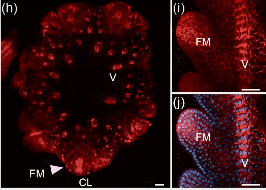 Thu Tran tweet media