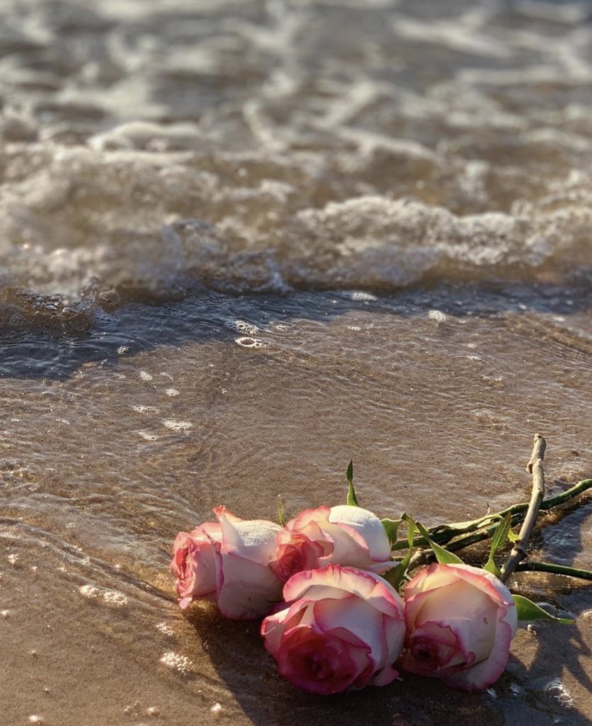 الطيبون لا يؤذون أحداً ؛
لكنهم يؤذون أنفسهم كثيراً وهم لا يشعرون..