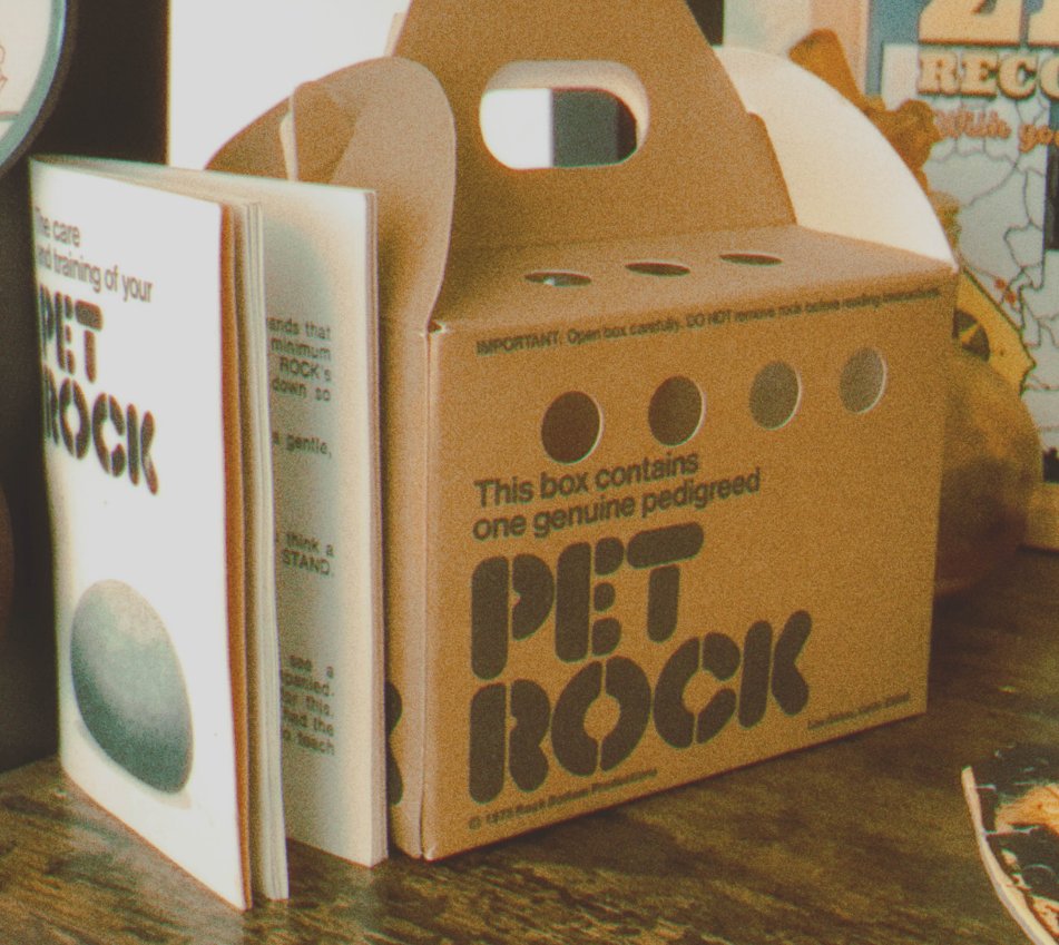M0YASI_'s tweet photo. TOFU GOT ME AN EARLY BDAY PRESENT

ORIGINAL 1975 PET ROCK !!!!!!!! (he's acclimating) https://t.co/fR5j3gBhux