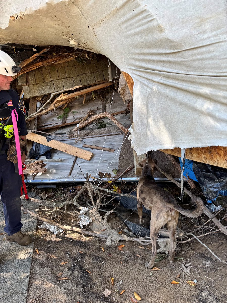 Texas Division of Emergency Management tweet media