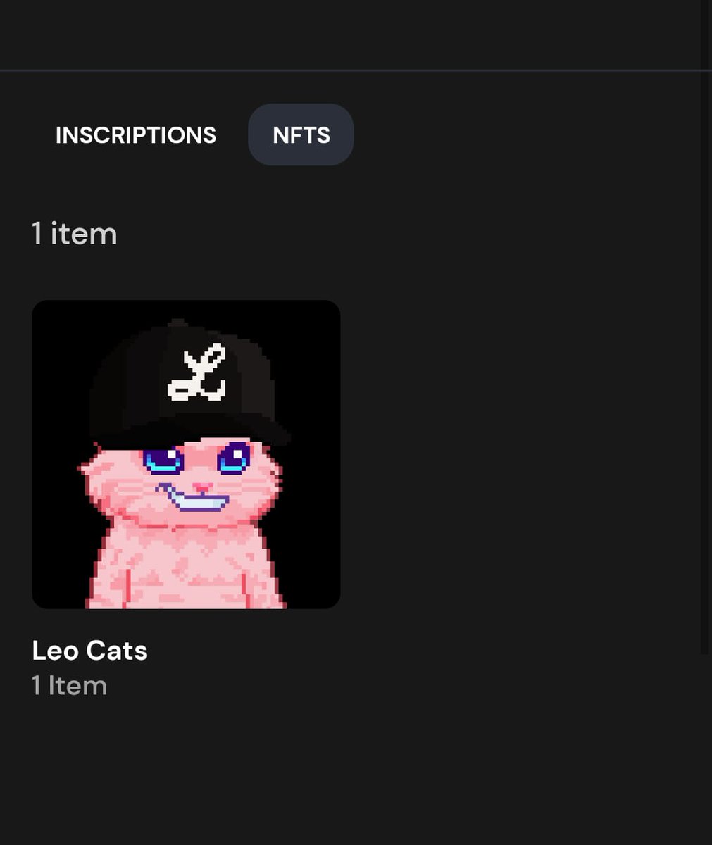 btcwnr's tweet photo. Got a new cat! Thank you very much to @Orangebones_NFT for the gift! 😊👀 https://t.co/LhRRE7cTjt