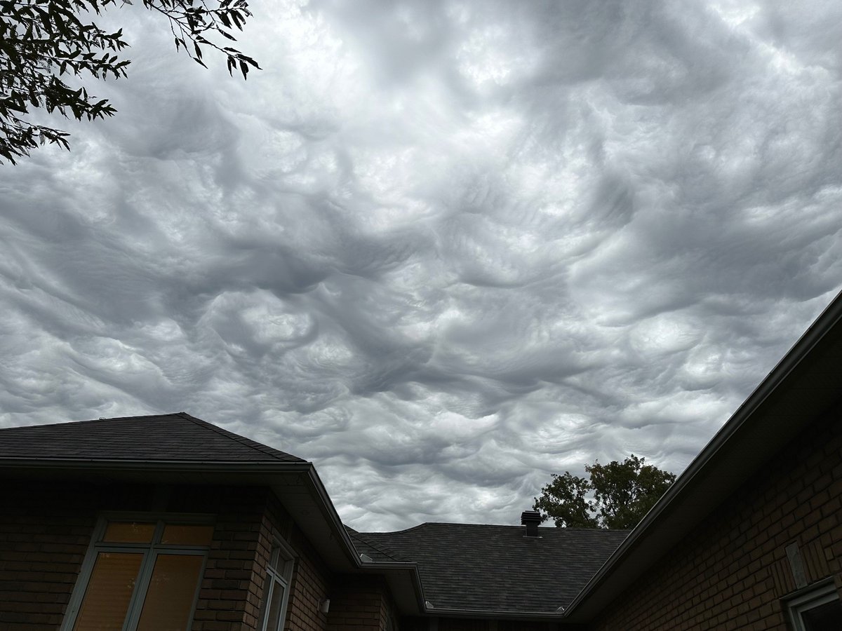 While planting #tulips 🌷for spring, saw this ominous low #Cloud ☁️formation in the sky, resembling #vangogh painted swirls.  Found they are the recently named "Asperitas" cloud formation, swirls carved by wind shear forces.  Then big raindrops fell.  Amazing wonders of #nature.