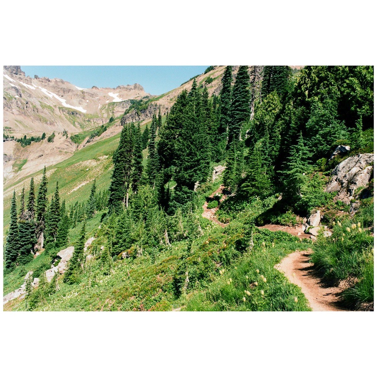 forestoutside's tweet image. Trail times 🎞️