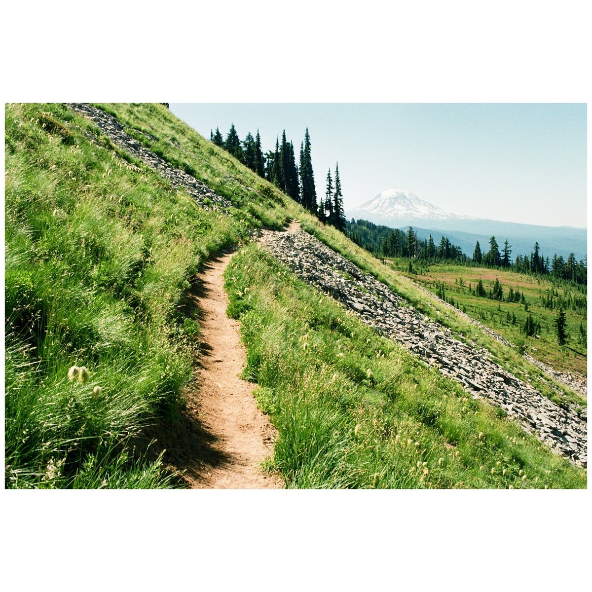 forestoutside's tweet image. Trail times 🎞️
