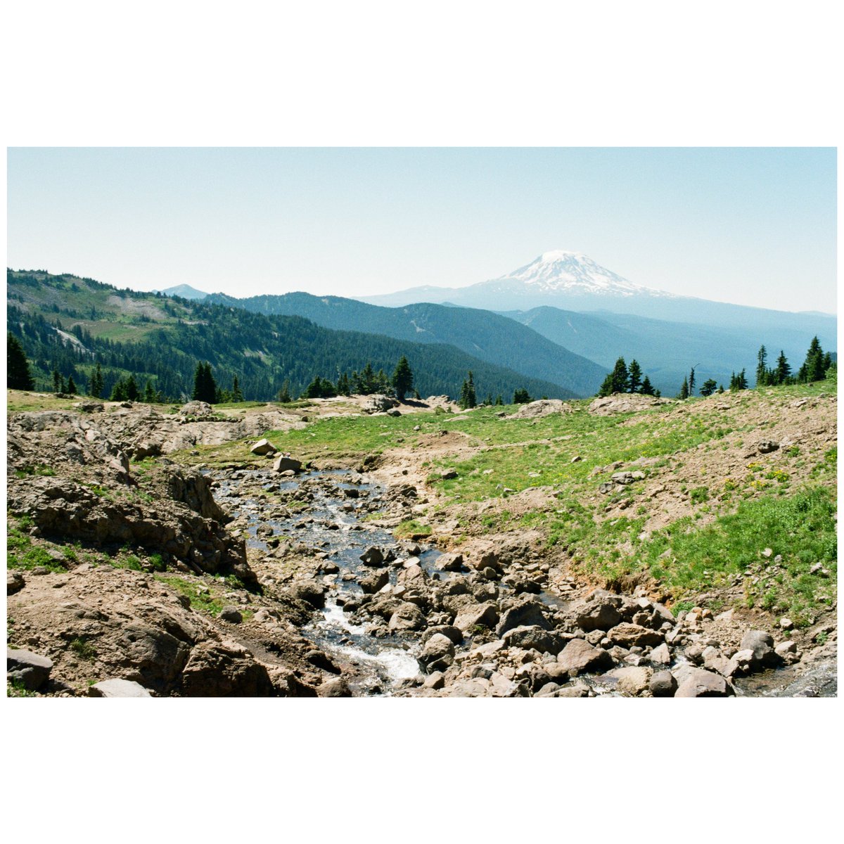 forestoutside's tweet image. Trail times 🎞️