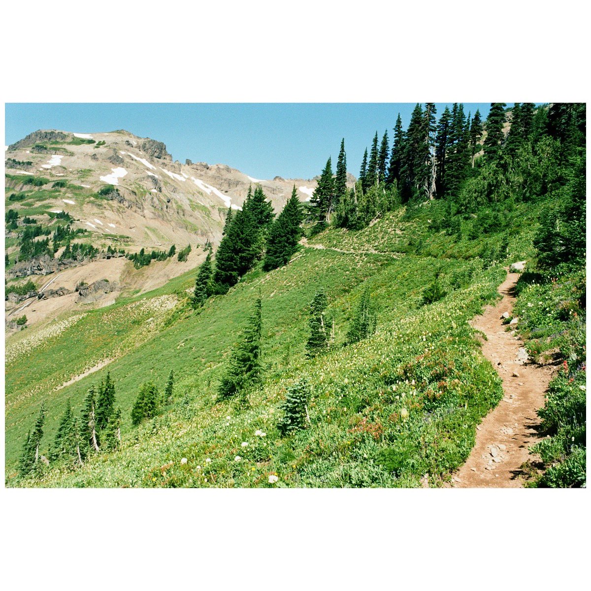 forestoutside's tweet image. Trail times 🎞️