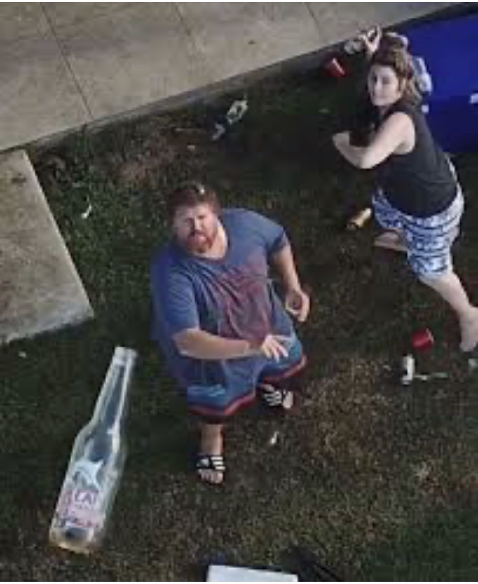 Matthew reist tweet media