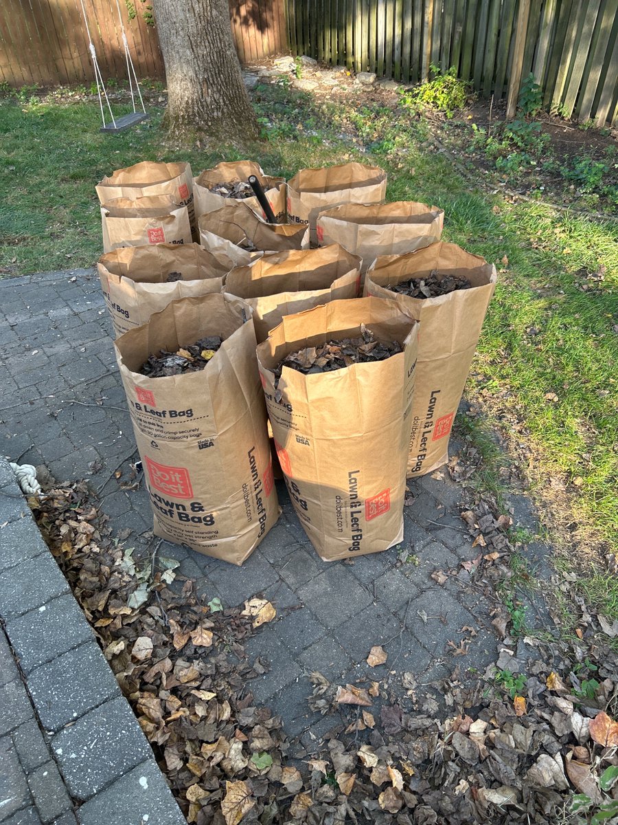 AddisonWilliamz's tweet photo. @IndyDPW why is the leaf collection window so late? Leaf collection starts in 1 month….. meanwhile these 11 bags of leaves came from my 1/16th acre backyard. 
Are there really people that are raking leaves into December? https://t.co/wORv2gDeFJ