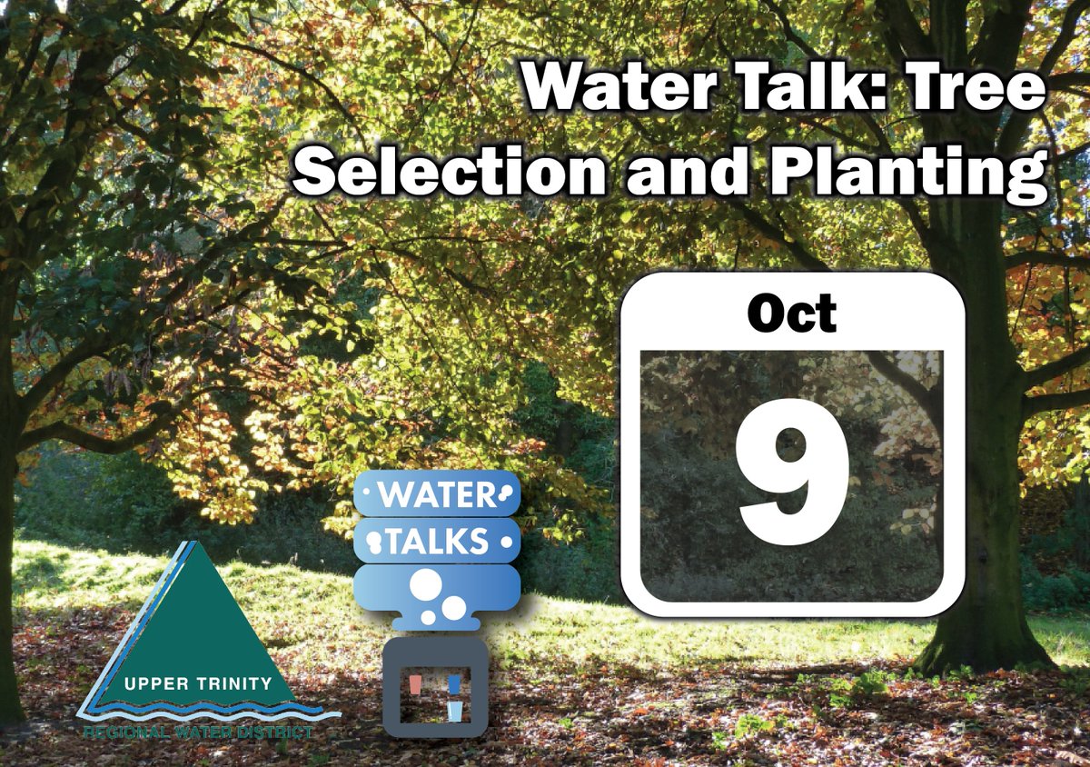 UTRWD's tweet photo. Want to plant a tree at your home but not sure what type to choose or how to plant? Join us for the next online Water Talk on October 9th at 12 pm to learn which trees are best in North Texas! Register for the free webinar at https://t.co/CwxIN4TBMY #WaterLessYall https://t.co/qEZA952ugN