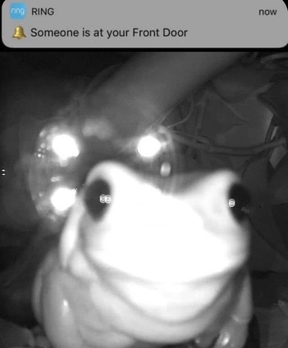 nocontextfrogs's tweet photo. https://t.co/2bjv0AIN1a