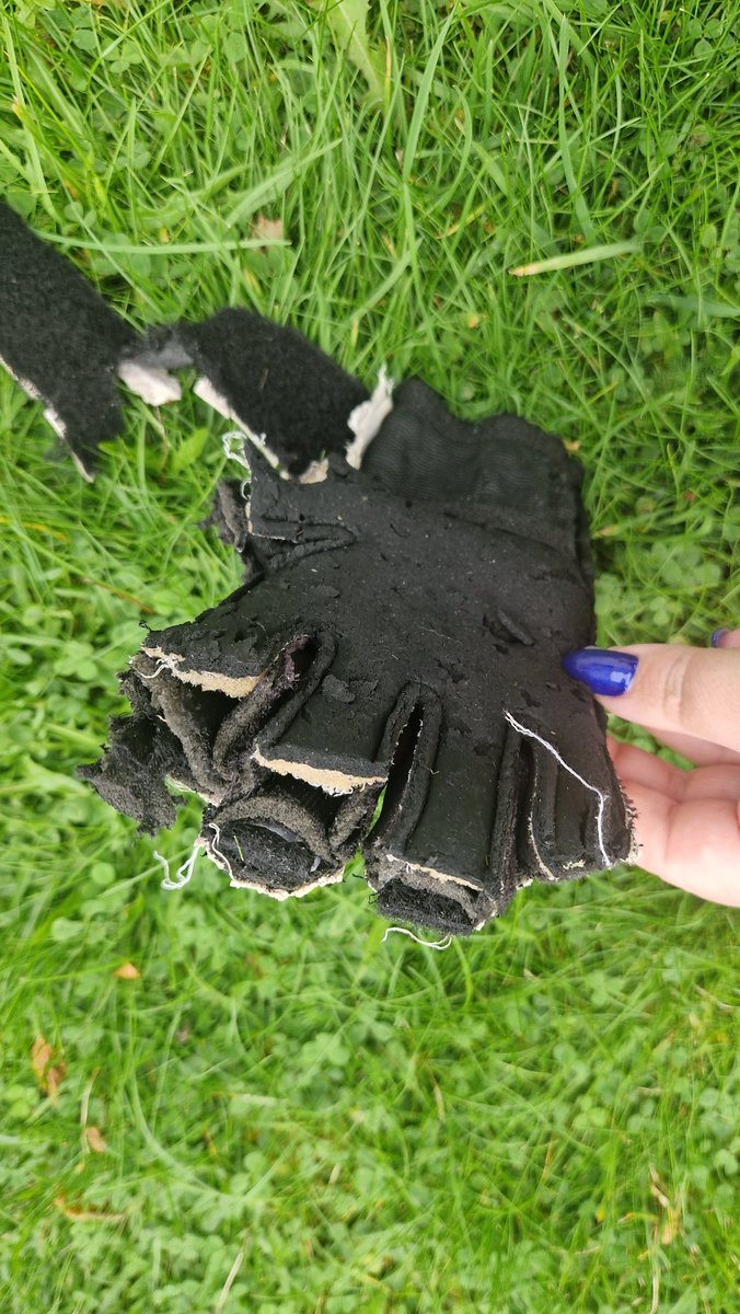 SWKidlington's tweet photo. Whilst my son was at #goodisonpark watching his hero @JPickford1 saving a penalty.... the local foxes had taken his goalkeeping gloves from the garden and had fun of their own🤦‍♀️ sad little boy today #putyourthingsaway #countrylife
@Everton #goalkeeper #nogloves https://t.co/TKjp4jHZ1p