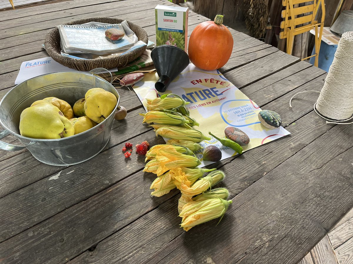 asandra_pon's tweet photo. A pleasant afternoon gardening at the local collective allotment and  harvesting a few ripe veggies with more to come soon. https://t.co/084ecZr3BV