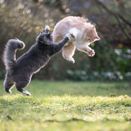 Graciela Muñoz tweet media