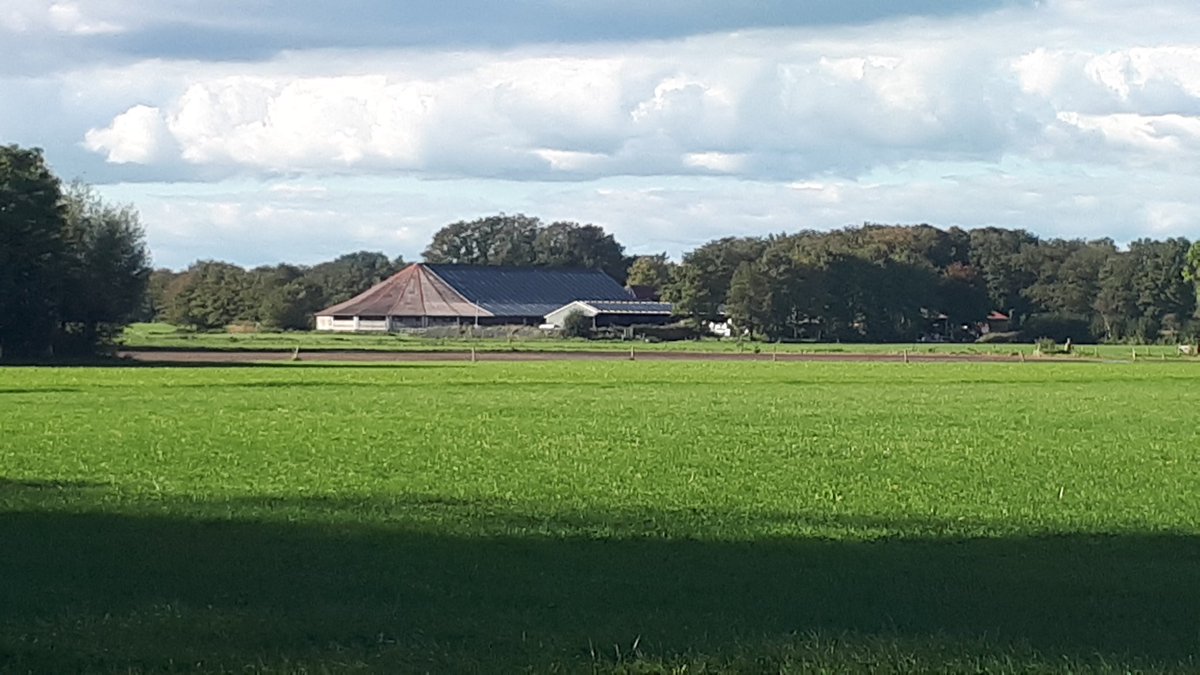 CorvandenBerg50's tweet photo. Aa-verheino 🤭 https://t.co/dkMxEBLTTy