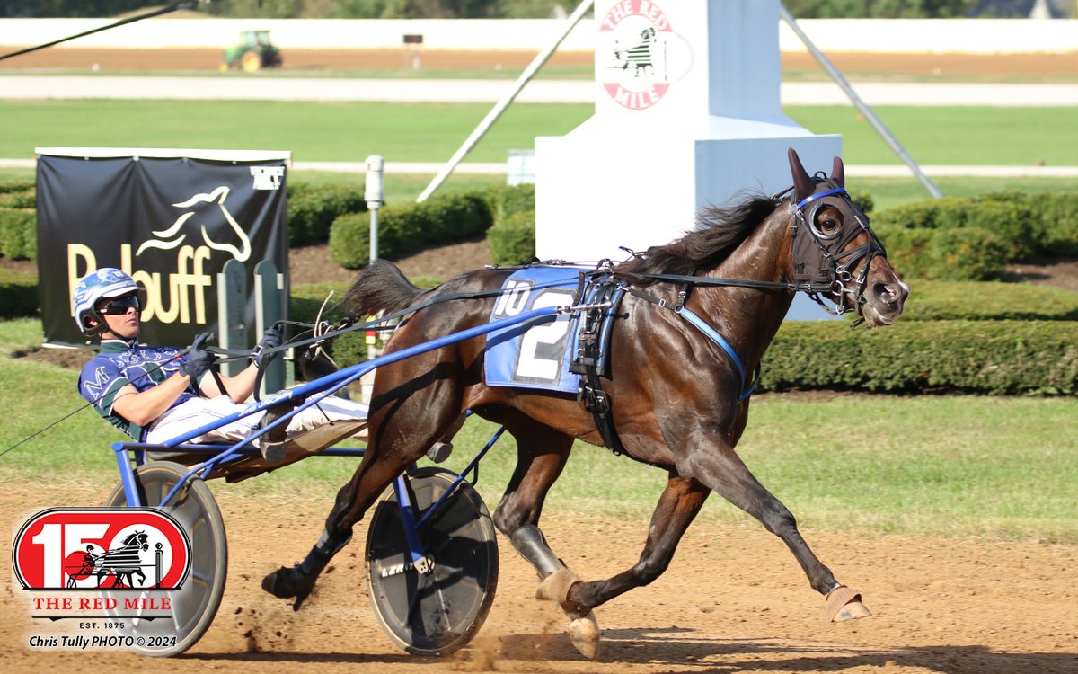 Red Mile Racetrack tweet media