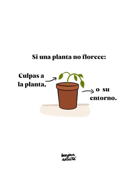 Sabiduría Eterna tweet media
